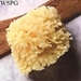 Wool Sea Sponge, 3 Inch - KPR-WSPG